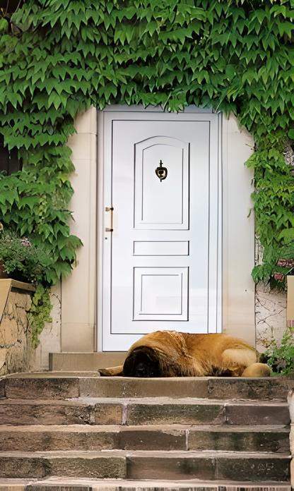 Porte d'entrée propriété Orne